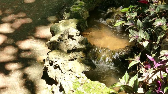 Small waterfall in cloud forest 4K