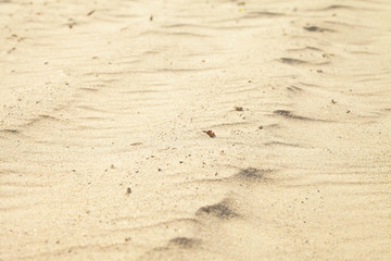 Small sand dunes on beach.