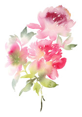 Peony greeting card