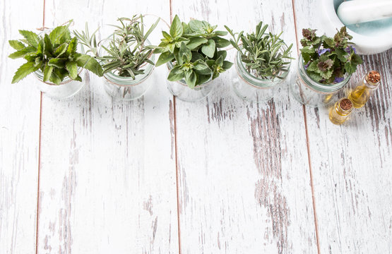 Herbs on wooden background. Mint, thyme, balm and other medicinal herbs