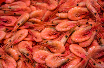 Feskekörka - Göteborg, Schweden.