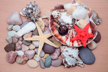Sea stones and cockleshells