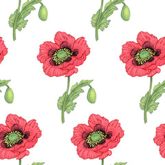 Seamless pattern with medical plants.