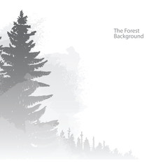 Vector image of the forest background. Wild coniferous forest in the morning mist. Vector background of gray coniferous trees on the left side on a white background. Foggy valley. Vector pine forest.