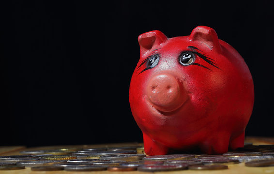 Piggy bank surrounded by coins 