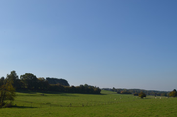 Obraz premium Rural area with autumn trees and green meadows on rolling hills, Yvoir, Wallonia
