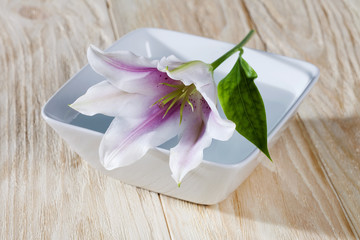 flower in bowl.