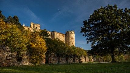 Fototapeta na wymiar Castle with tree