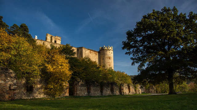 Castle with tree
