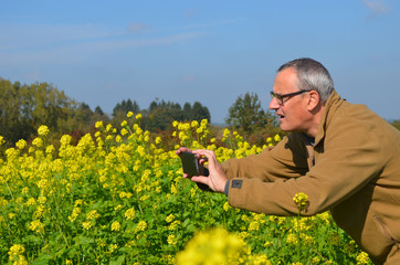 Man taking picture with smartphone of field with yellow flowers of Brassica rapa (field mustard, bird rape, colza) against blue sky