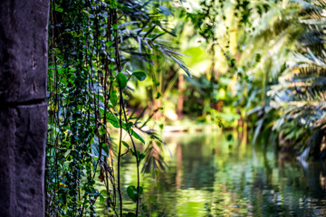 Gondwanaland im Zoologischen Garten in Leipzig