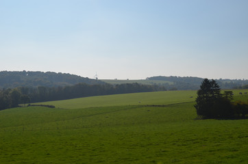 Green meadows with scattered trees on rolling hills in Wallonia, Yvoir