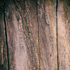 old wood texture.