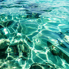 Turquoise sea / Sunny day sea paradise wallpaper / sea wave clos