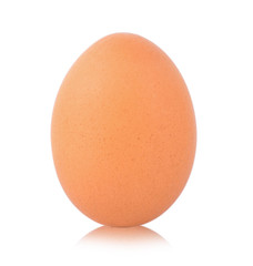 egg on white background
