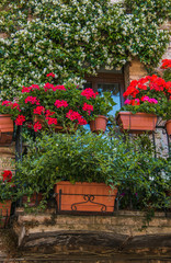 Finestra e balcone addobbati con vasi di fiori