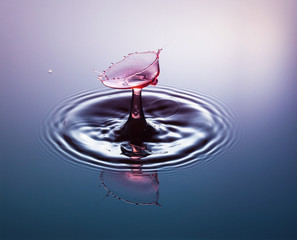 Water drop photography, one or two drops of water dropped from height into water and captured as they hit the water or collide with each other.