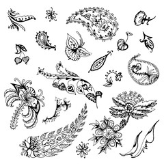 large set of decorative floral element of beautiful paisley henna design Vector Illustration
