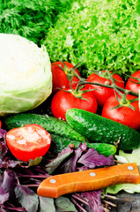 
Fresh juicy ripe summer useful vegetables and greens, red tomatoes , cucumbers , cabbage , lettuce , basil , parsley , dill and salt and spices on a dark wooden background