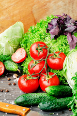 
Fresh juicy ripe summer useful vegetables and greens, red tomatoes , cucumbers , cabbage , lettuce , basil , parsley , dill and salt and spices on a dark wooden background