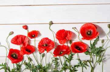 beautiful red poppies on old white wooden table