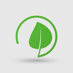 leaf vector icon