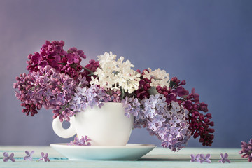 Still life with a blooming branch of lilac