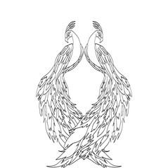 Fototapeta premium peacock sketch