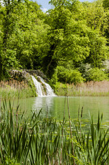 Arlesheim, Ermitage, Weiher, Wasserfall, Wasserpflanzen, Park, Wanderweg, Baselland, Sommer, Schweiz