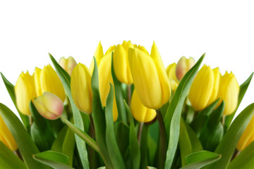 Tulpen Bouquet freigestellt