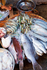Fresh fish, squid, shrimps and other seafood at a local fish market