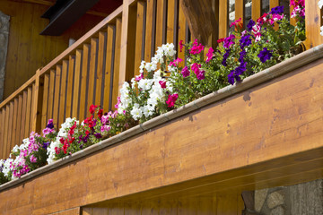 Fototapeta na wymiar balcony full of flowers