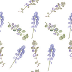 Wzór fioletowe kwiaty. Kwiaty polne, akwarele z delikatnej trawy - 111581332
