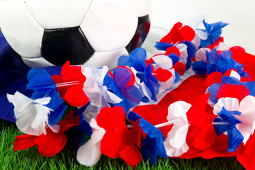 Fussball - Frankreich 