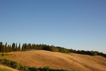 Fototapeta premium Tuscany