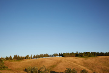 Fototapeta premium Tuscany