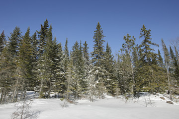 winter landscape in ontario canada