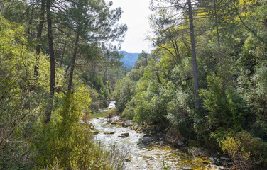 Fototapety  Szlak pieszy po rzece Borosa w paśmie górskim Sierra Cazorla, prowincja Jaen, Andaluzja, Hiszpania