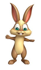 cute Bunny funny cartoon character