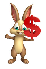 cute Bunny cartoon character with doller sign