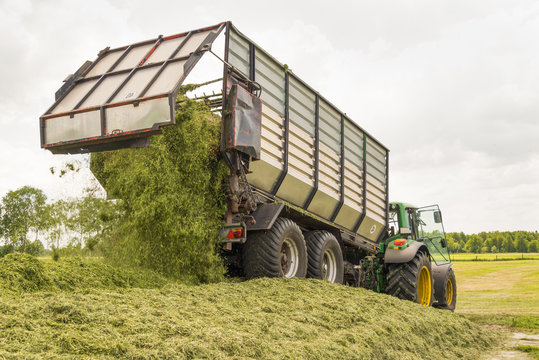 Entleerung eines Silagetransporters