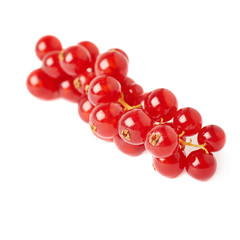 Red Currant isolated over white background