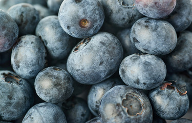 Bilberry or blueberry as texture background