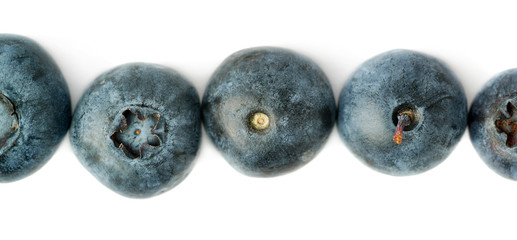 Line made of Bilberry or blueberry over isolated white background