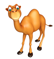 cute Camel funny cartoon character