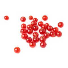 Red Currant isolated over white background