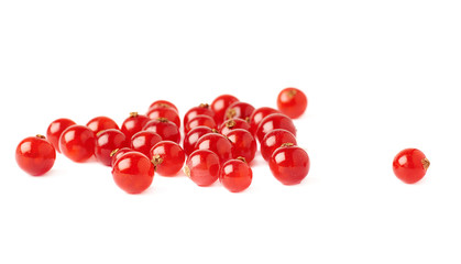 Red Currant isolated over white background