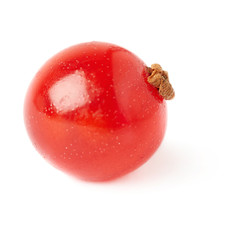 Single Red Currant isolated over white background