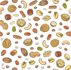 Vector seamless pattern hand sketched nuts on white background in hand drawn style: hazelnut, almonds, peanuts, walnut, cashew, pine nut, pistachios, coconut, pecan