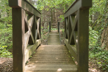 Fototapeta na wymiar Hängebrücke im Park